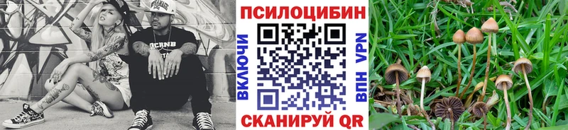 Псилоцибиновые грибы мухоморы кракен Безенчук